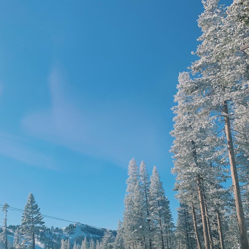 Meet your Posher, Nora